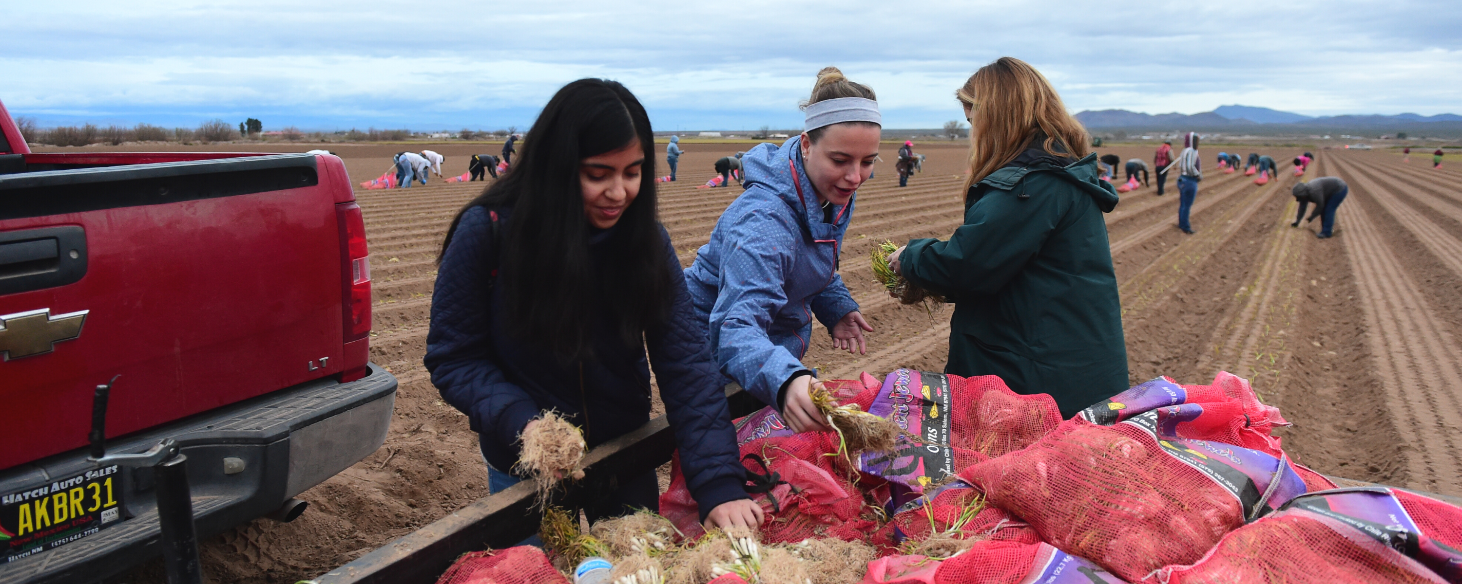 Student in Onion Fields in New Mexico